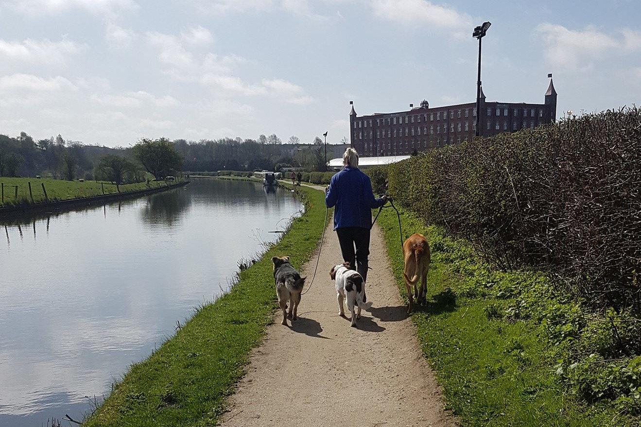 Paws for Walks - Chorley