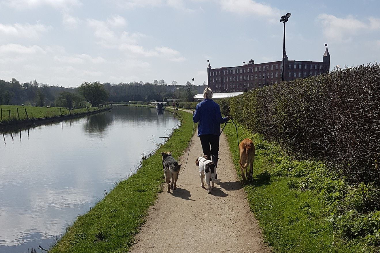 Paws for Walks - Chorley Paws for Walks - Chorley